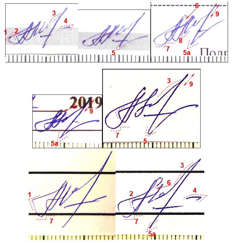 Сколько нужно образцов подписи для почерковедческой экспертизы подписи